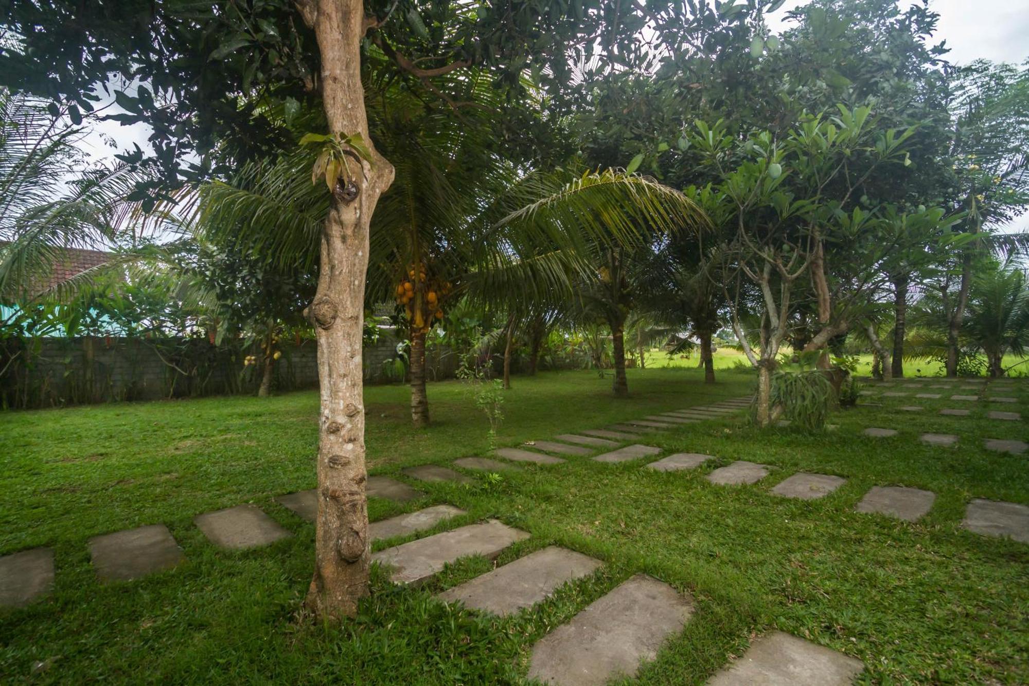 Parthi Puri Ubud Zewnętrze zdjęcie